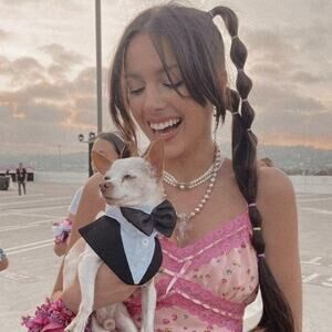 RIMOR 3 Row Venus Heart Choker Necklace | Olivia Rodrigo